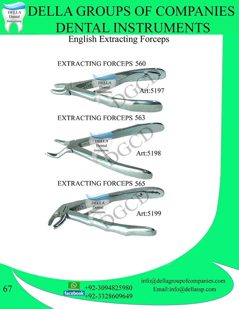 English Extracting Forceps